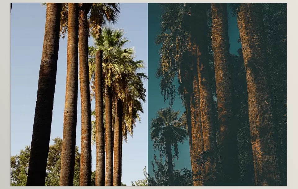 Creative Market - Deepy Moody Teal Lightroom preset - The sky deepens as the light fades, revealing hidden stories in every shadow and glow.