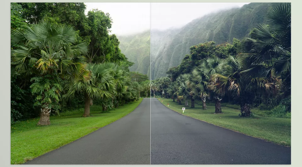 Creative Market - VSCO A5 Lightroom Presets - Soft tones and subtle contrast, perfect for everyday storytelling.