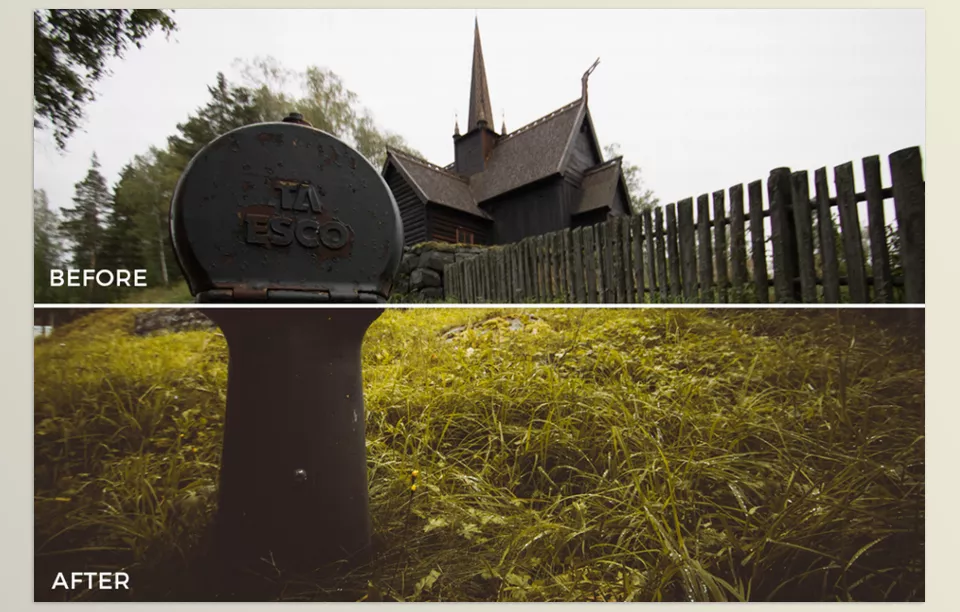 FilterGrade - Nico Hoppe Moody Tones Lightroom Presets - A quiet forest scene transformed with rich shadows and deep, atmospheric colors that bring out the mystery of nature.