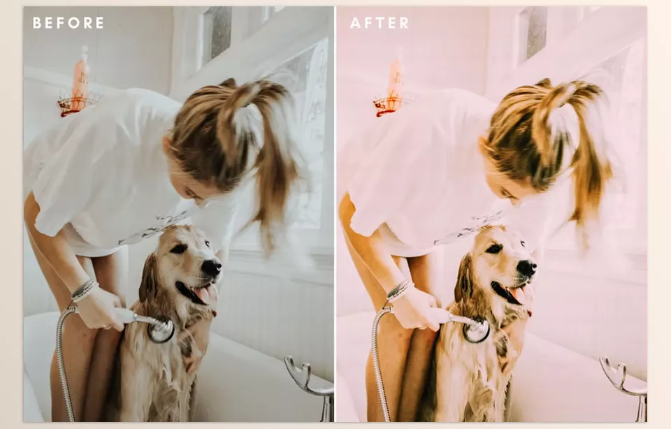 Creative Market - Daily Lightroom Presets - Transform everyday moments into vibrant memories with effortless color and light adjustments that bring out the best in your photos.