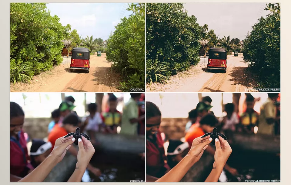 Tropical breeze Lightroom preset - From dull to dynamic—enhance your photos instantly!