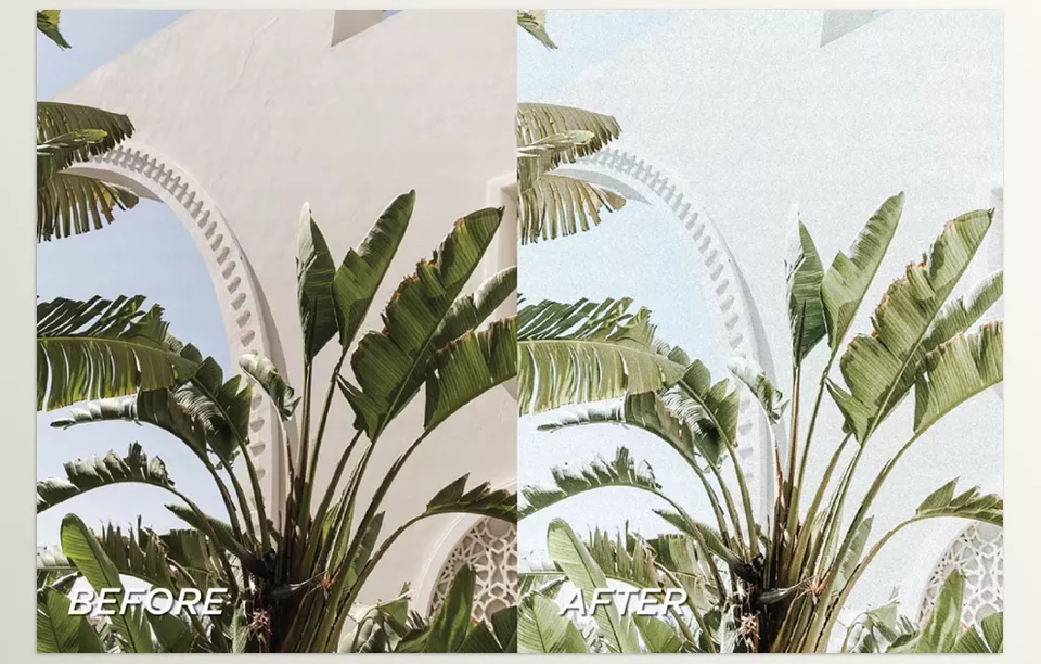 15 Coconut Lightroom Presets - Effortlessly achieve a polished, sun-kissed look that enhances every detail in your shots.