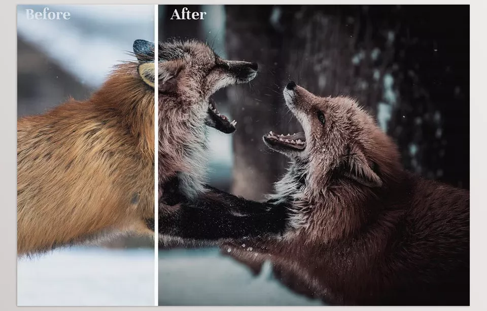 Creative Market - Dark and Moody Lightroom Presets - Provides outstanding color grading for a refined and artistic finish.