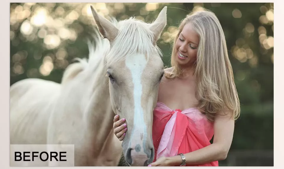 Creative Market - 45 Cinematics Matte Effect LR Preset - Transform your photos with 45 cinematic matte Lightroom presets for a modern, professional look.