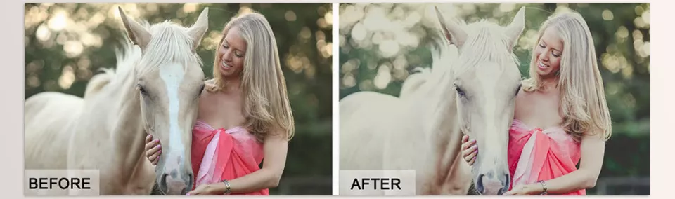 Creative Market - Gingham Lightroom Preset - Soft light, subtle tones, and a calm cinematic atmosphere—perfectly styled in one click.