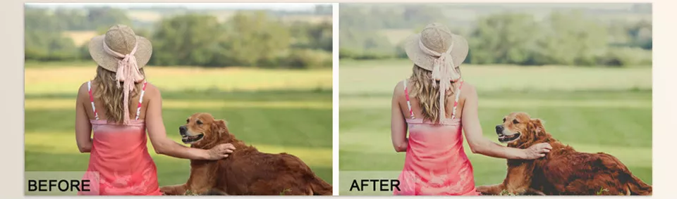 Creative Market - Gingham Lightroom Preset - From skin tones to scenery, watch the transformation into a timeless, elegant mood.