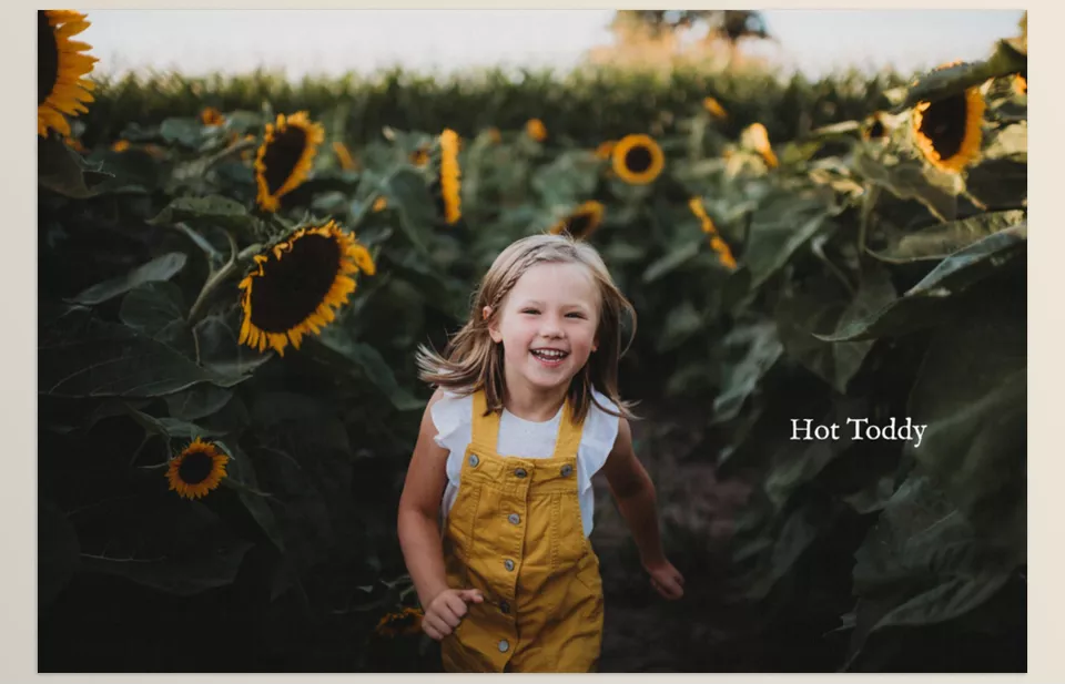 Lightroom and ACR Presets Harvest Matte - Subtle brightness and rich shadows combine to create a velvety finish that feels both natural and vibrant.
