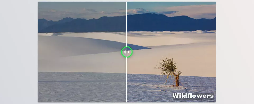 Classic Vinyl Pure Lightroom Presets - A portrait enhanced with rich, timeless hues that maintain detail and avoid over-processing for a classic feel.