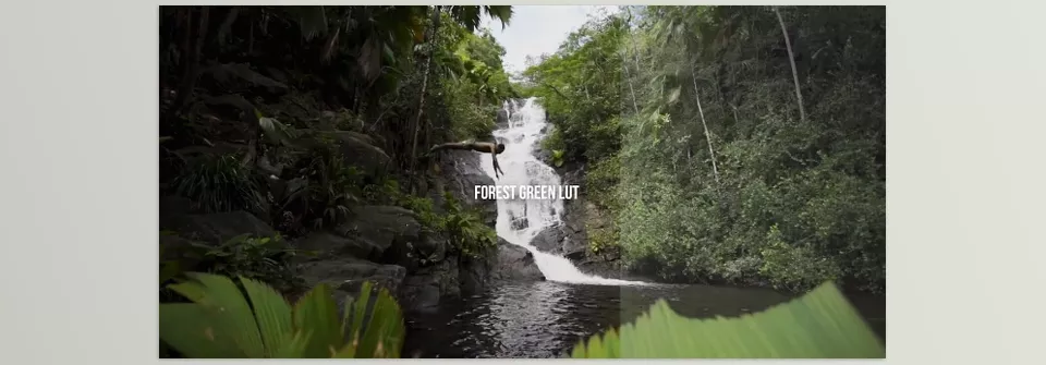 Complete People and Nature Cinema LUT Bundle - Rich, cinematic tones that enhance every golden hour scene.