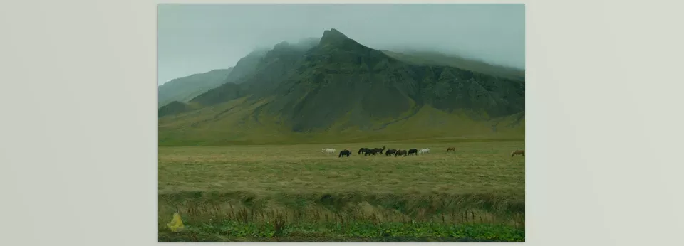 The Film Emulation Collection - achieve stunning results