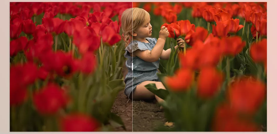 NATURA PRESETS - vivid colors