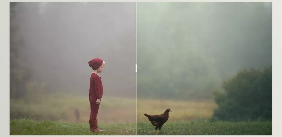 NATURA PRESETS - Warm skin tones