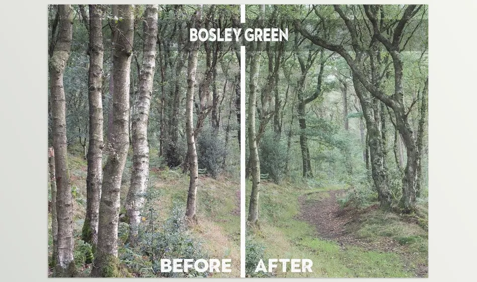 Nigel Danson Lightroom Presets - Customizable adjustments