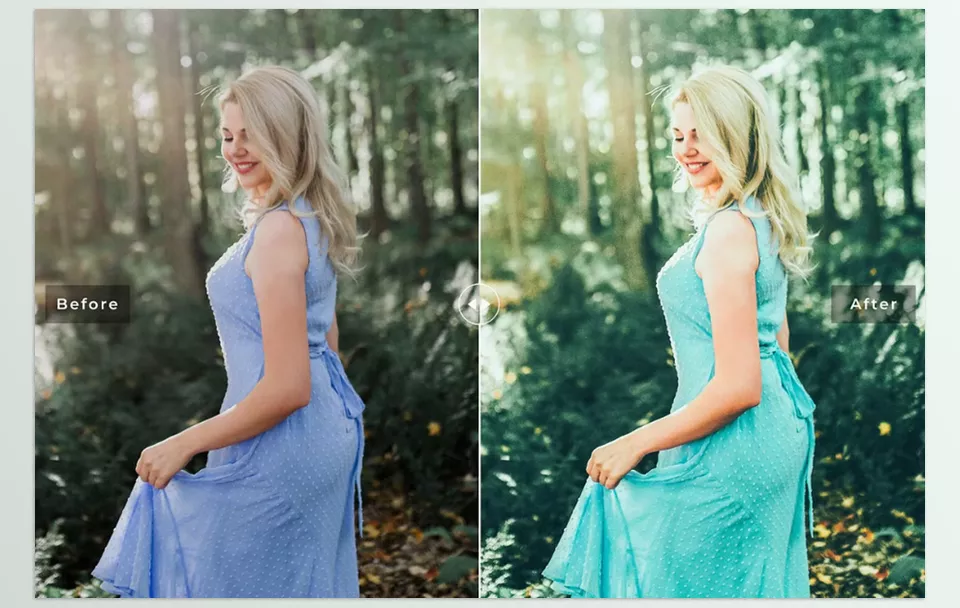 Adamite Pro Lightroom Presets - Enhance your photographs naturally!