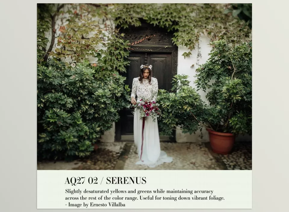 Archipelago Quest - Quest 27 Serenus Presets - Soft light captures wrap effortlessly around the subject, revealing soft tones and warmth without suffocating the moment.