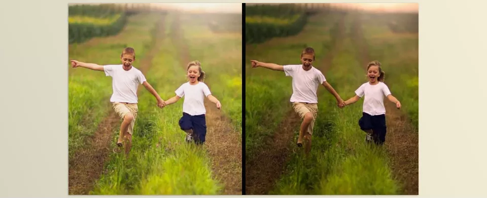 The Emerald Chroma Preset Collection - Transform ordinary photos into cinematic works of art with rich green tones and warm highlights that evoke a natural, timeless feel.