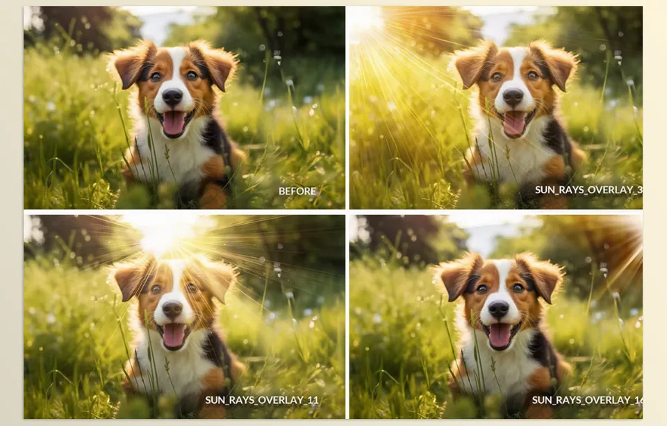 Sunlight photo overlays PNG and JPG - High-Quality Overlays