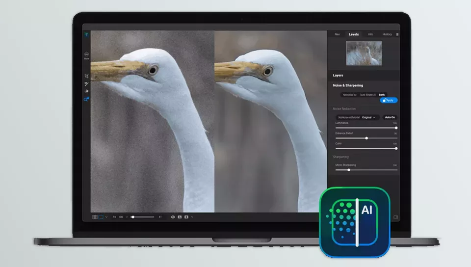 Nonoise AI - Significant advancements in astrophotography and wildlife photography were achieved with advanced noise reduction, delivering minimal artifacts and halos.