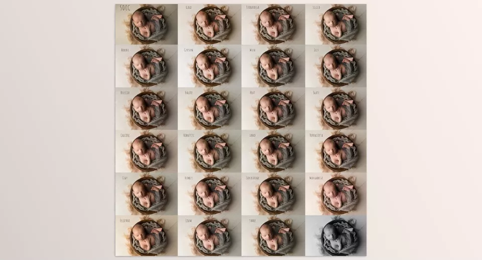 The Sandstone Collection Newborn - Includes a wide variety of 24 presets.