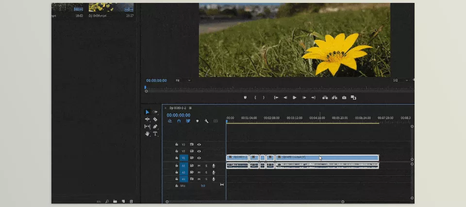 Rapid Reel Composer - Automatically place markers at the desired intervals.
