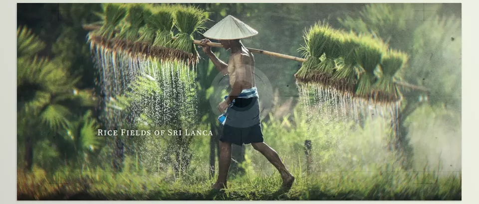 mDocumentary - increase the impact of your storytelling and bring out the emotional beats of the story.
