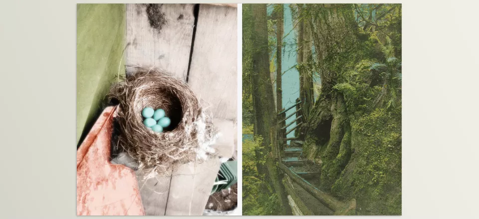 Hand Tint Pro - These modes are designed to change the appearance of painted or colorized regions, enabling endless unique variations.