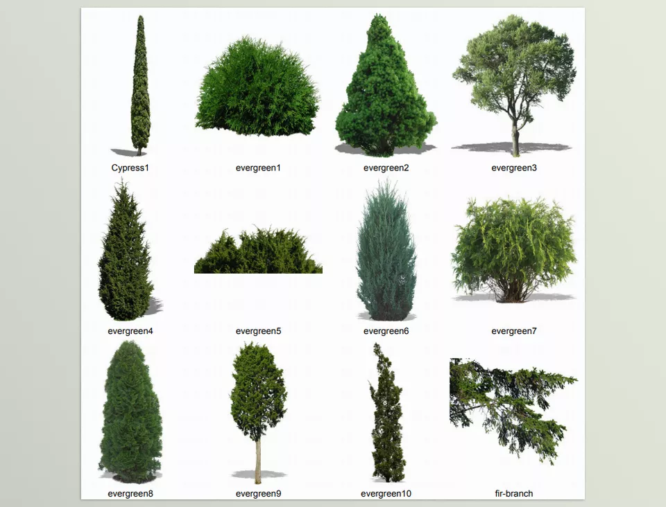 The Ultimate Green Collection - includes 199 plants for illustrating architectural renderings.