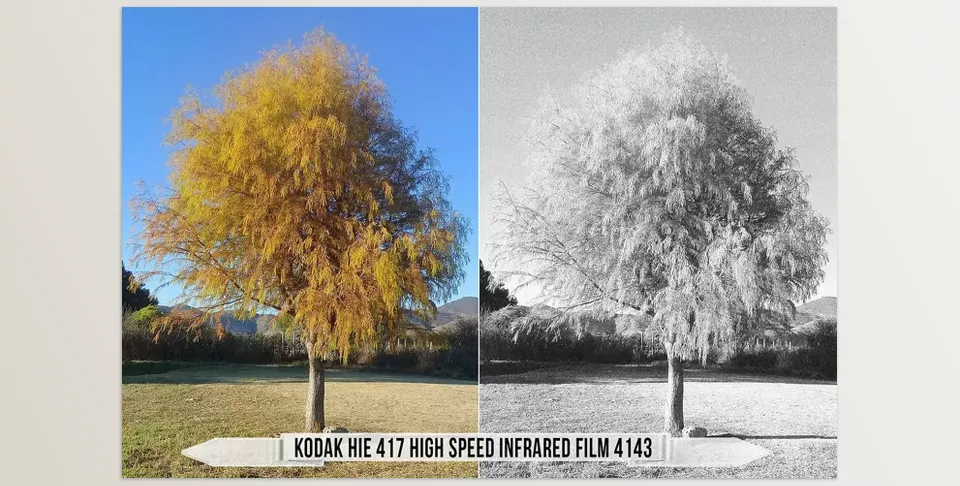 Eastman Kodak Black and White Films LUTs - Contemporary general-purpose continuous-tone T-grain panchromatic film.