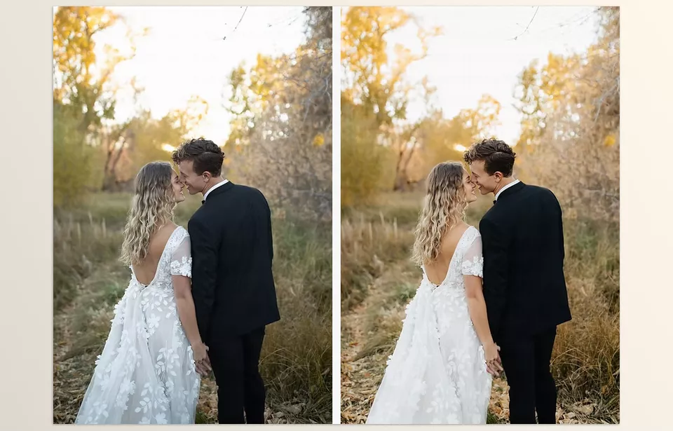 Jenny Pearl Presets 02 - Includes Summer, Fall, Winter, Indoor, and B&W presets.