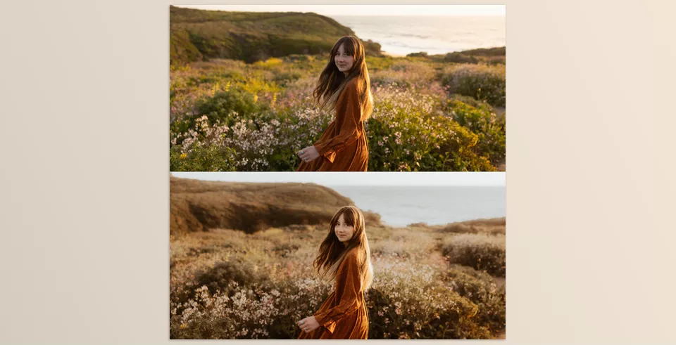 Wild Rebel Preset Pack - filmy tones