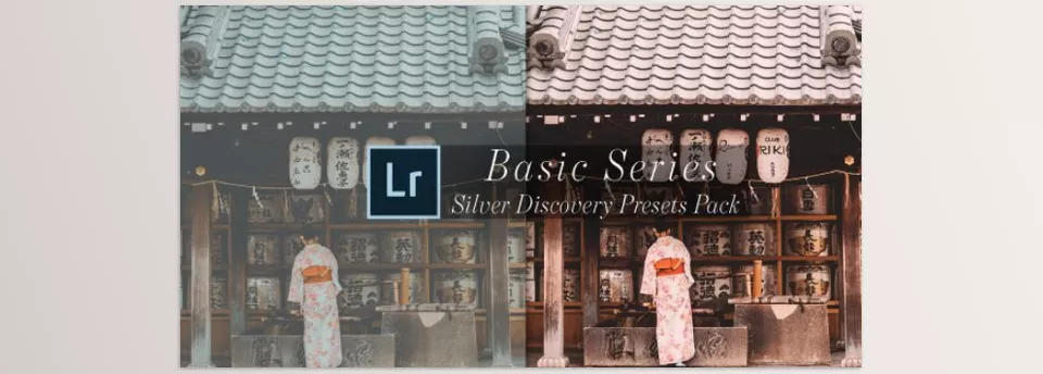 Basic Silver Discovery Lightroom Presets - 45+ Presets
