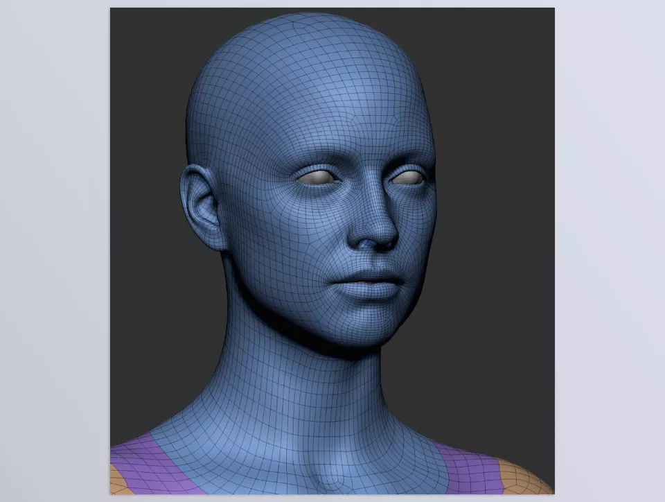 Pro Male and Female Basemesh 45K - Anatomically Accurate