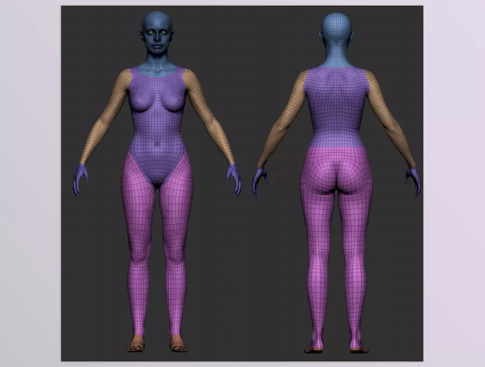 Pro Male and Female Basemesh 45K - clean deformations