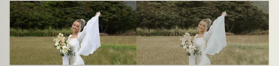 Nostalgic film preset - Consistent Style