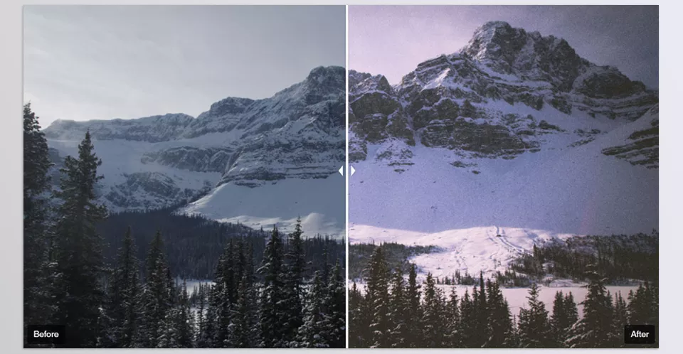 Disposable Camera Presets - Nostalgic Art