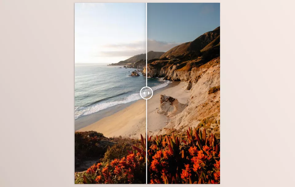 TROPICAL COLLECTION Lightroom Presets - Watch your photos transform with just one click!