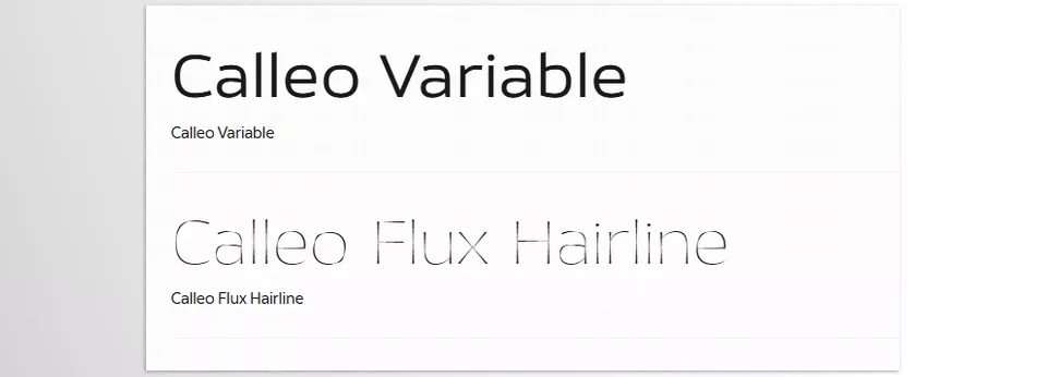 Calleo Font Family - A creative typographic system with expressive letterforms designed to stand out in digital and print.