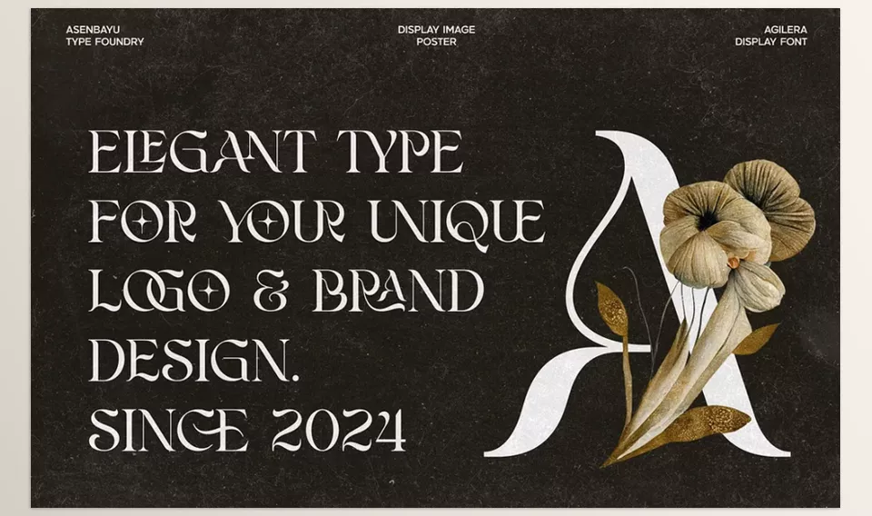 Agilera Stylish Ligature Font - Craft bold impressions with every graceful curve. 