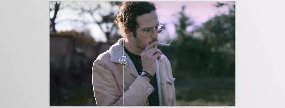 Sony Film Simulations Presets Capture one Styles - Transform your digital images with the timeless feel of classic film stocks while maintaining complete editing control.