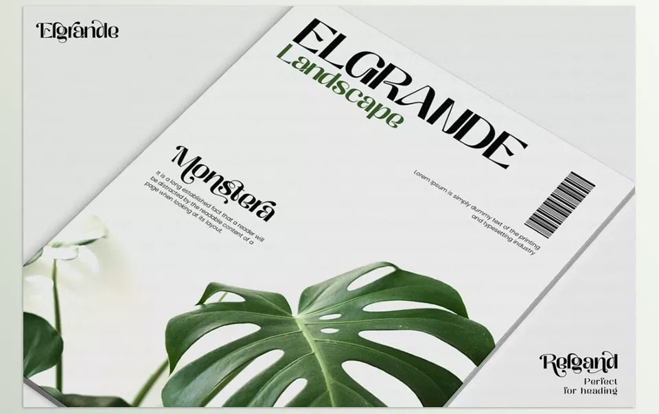 Relgand Display Family Font - Elevate Your Typography Game