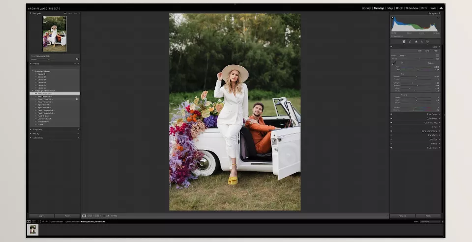 Archipelago - Chroma Presets - Turn everyday moments into radiant visual stories with hues that speak louder than words.
