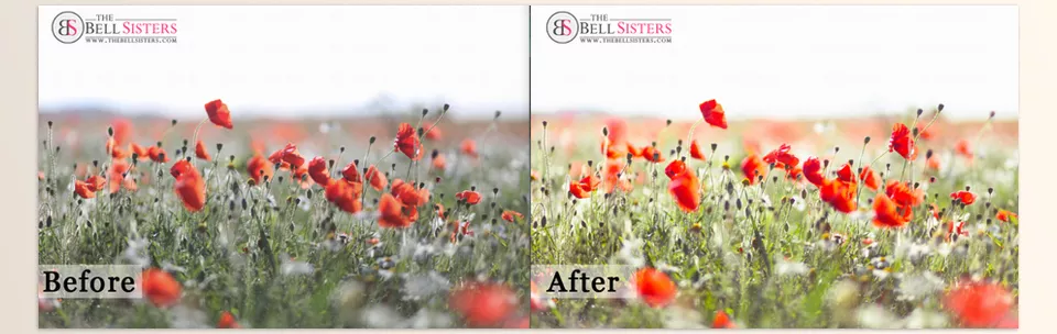 The Bell Sisters Whipped Cream Lightroom Presets - Elevate your imagery with delicate, light-filled presets designed to enhance skin tones and bring out the natural beauty of every shot.