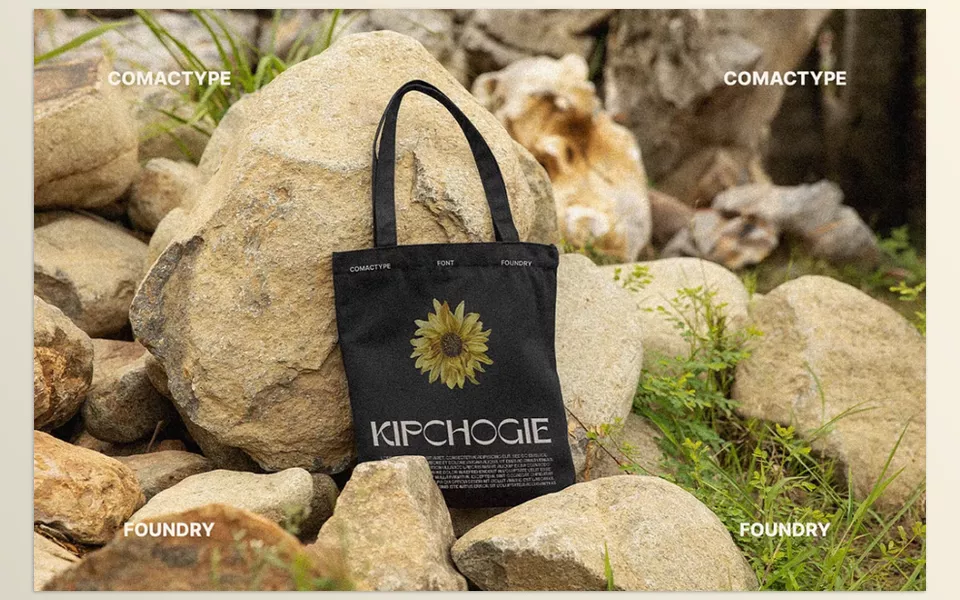 Rynogen Decorative Typeface - Rynogen has contemporary overhauls to its editorial layout, giving it sharp futuristic curves.