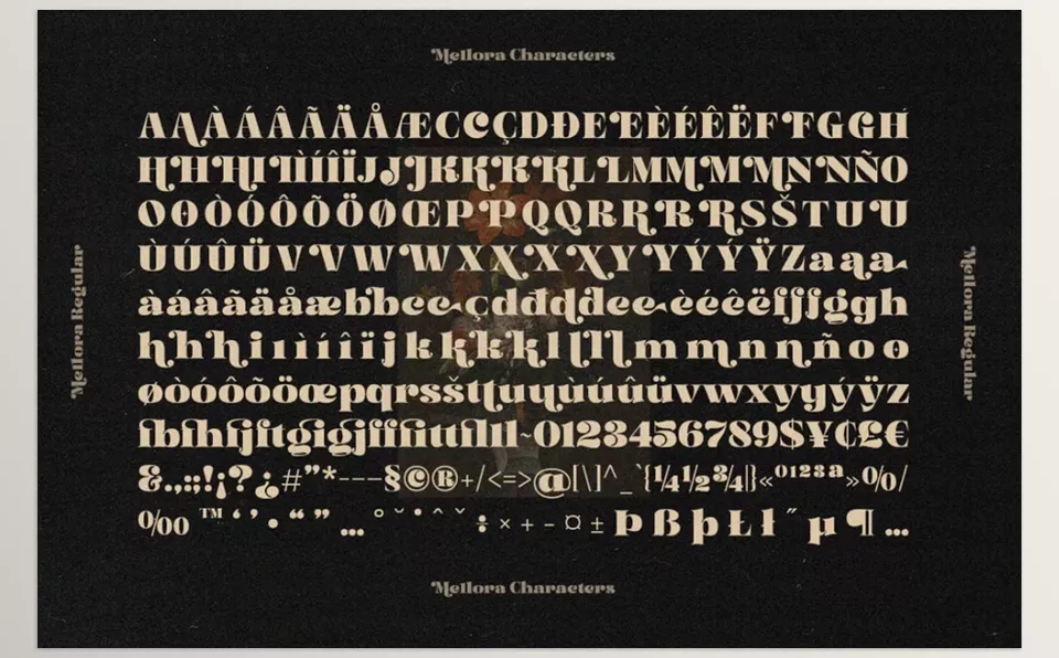 Mellora Display Serif - Transforms logos and layouts remarkably and seamlessly for a diverse design.