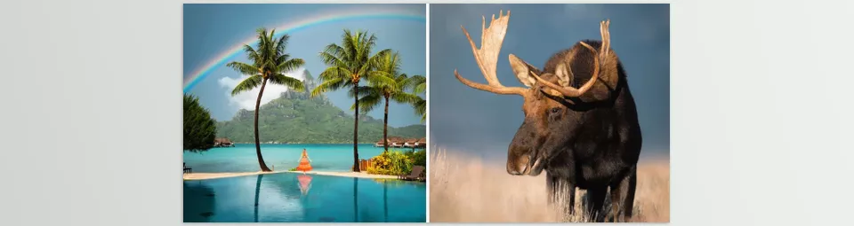 Photo Presets Essentials Desktop Pack - Tools provide seamless and effortless elevation of images.