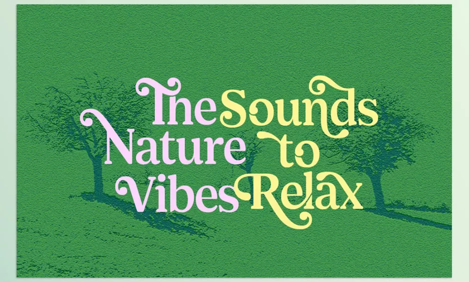 Creative Market - Shelian Typeface - Blend retro charm with contemporary, sleek designs with the Shelian typeface.