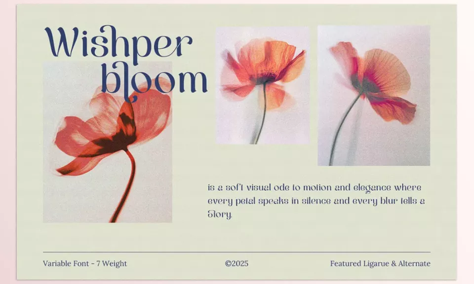 Berkara Stylish Serif Display - The clean lines and graceful curves offer an unbeatable modern aesthetic while staying timeless.