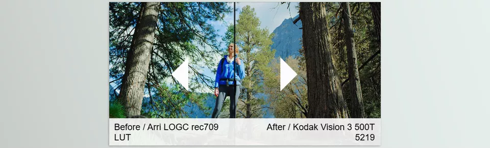 LightWave Film LUT Master Pack - Enhance your footage with seamless film emulations.