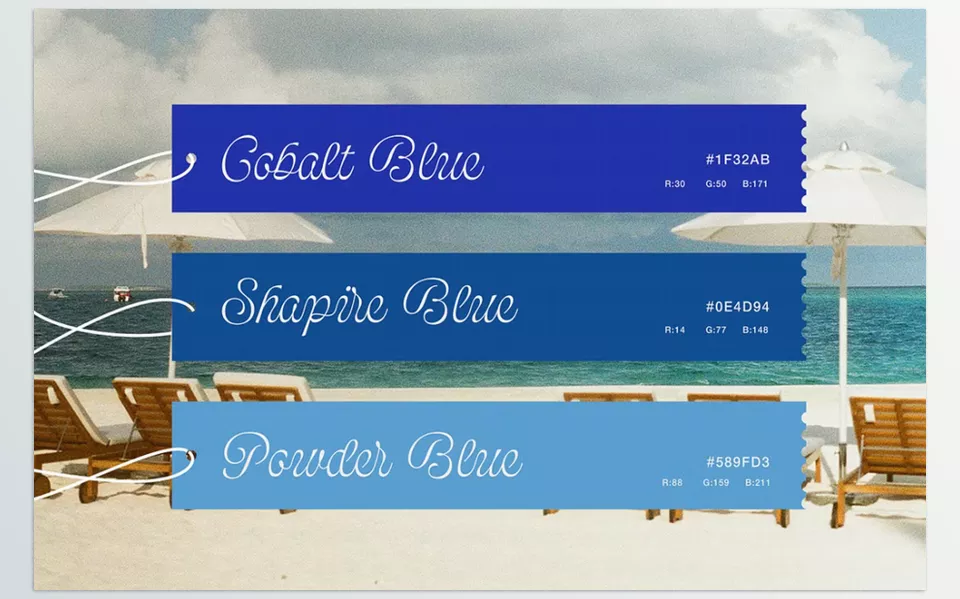 Bolina Casual Script Font - Enhance your presentation with a font that is elegant enough for advanced branding yet versatile for any use.