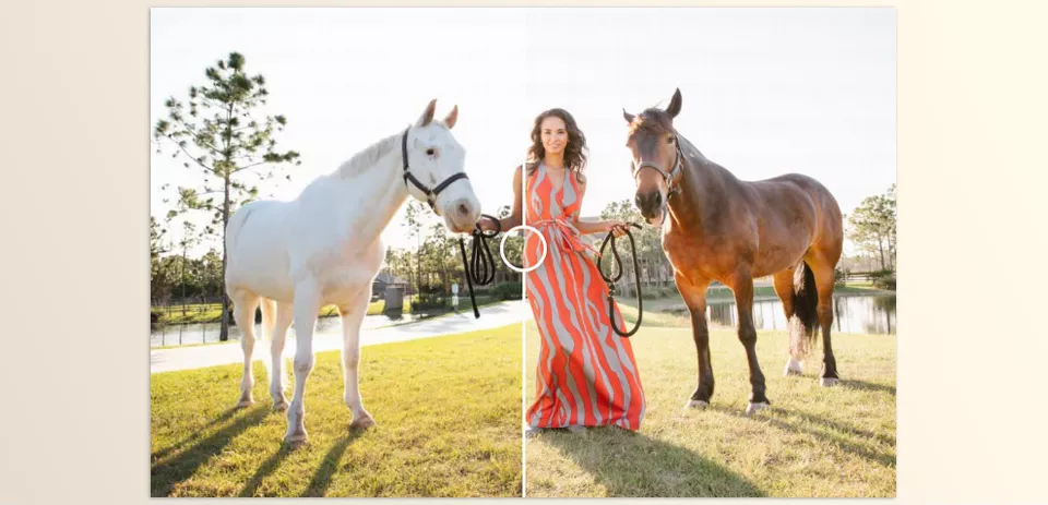 Dreamy Backlit Preset Collection - In a world transformed by the sun, immerse yourself in golden, peachy tones of living.
